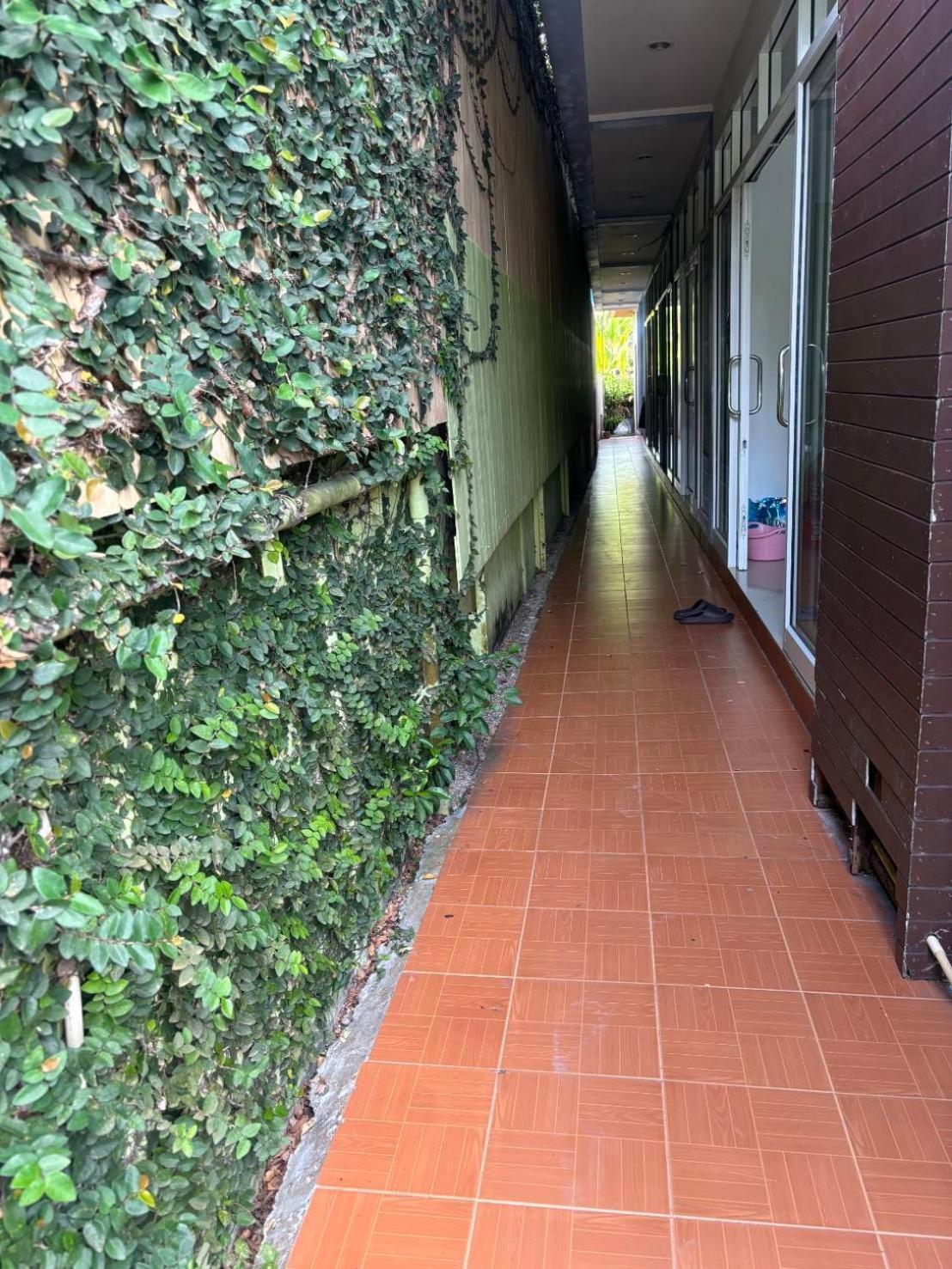 Hotel Rung Phangan Baan Tai Buitenkant foto